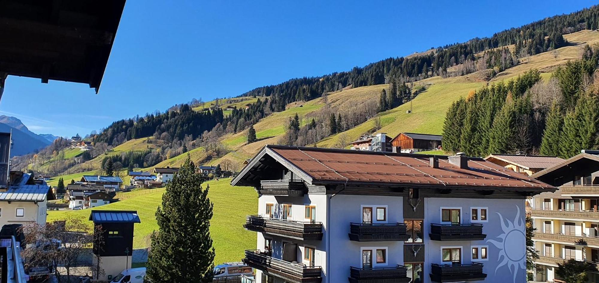 Alpenappartements Domicil By Hermann Weiss 萨尔巴赫 外观 照片